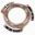 Pressure Plate Zffor Clutch Backplate
