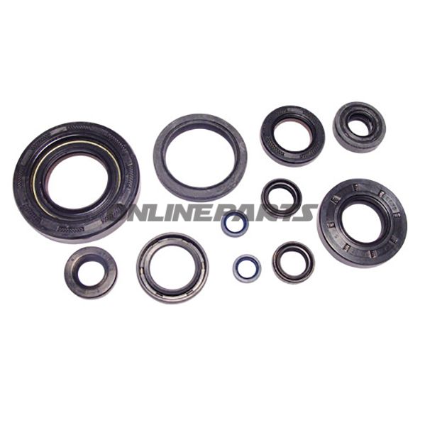 Engine Oil Seal Kit