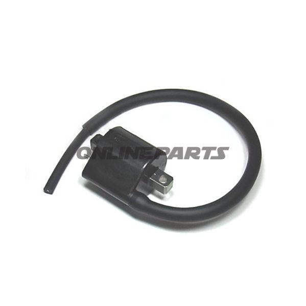 Ignition Coil 12V Rear