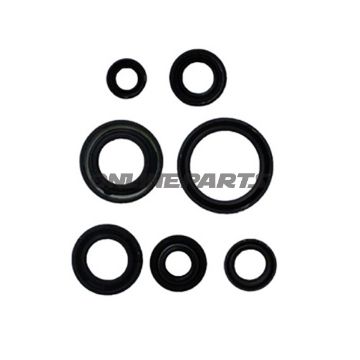 Engine Oil Seal Kit