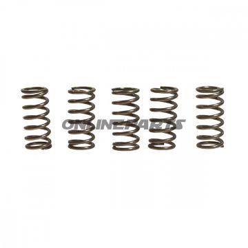 Clutch Spring Kit (5)Ebc
