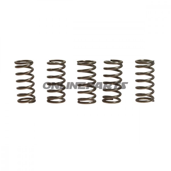 Clutch Spring Kit (5)Ebc