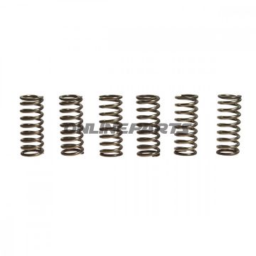 Clutch Spring Kit (6)Ebc