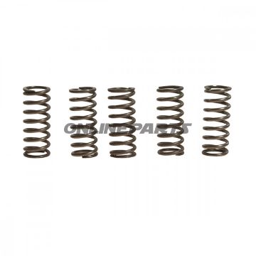 Clutch Spring Kit (5)Ebc