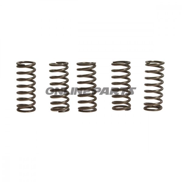 Clutch Spring Kit (5)Ebc