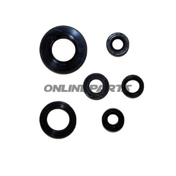 Engine Oil Seal Kit.