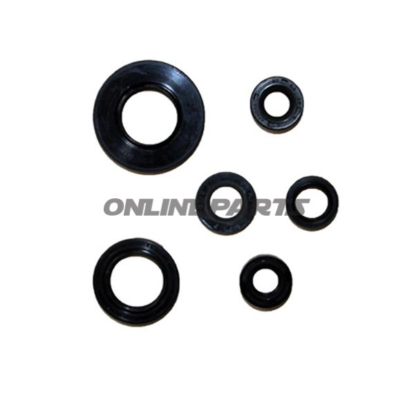 Engine Oil Seal Kit.