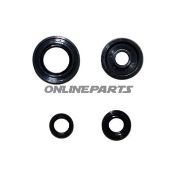 Engine Oil Seal Kit.