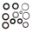 Engine Oil Seal Kit.