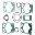 Gasket Set Topend.
