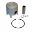 Piston Kit Complete 47.60 Mm B12mm Gudgeon Pin