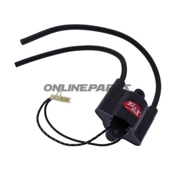 Ignition Coil 12V.