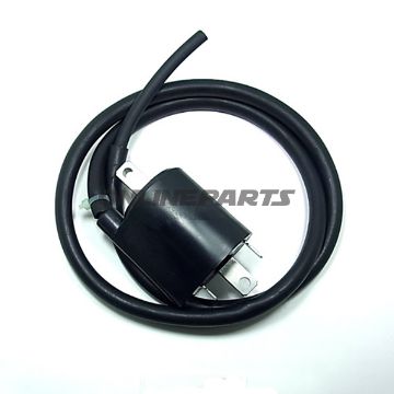Ignition Coil 12V Rear