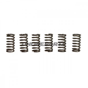 Clutch Spring Set Ebc6 Piece Set