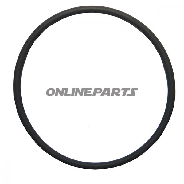 Intake Gasket O-Ring2.5X49 Mm