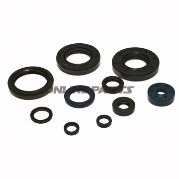 Engine Oil Seal Kit.