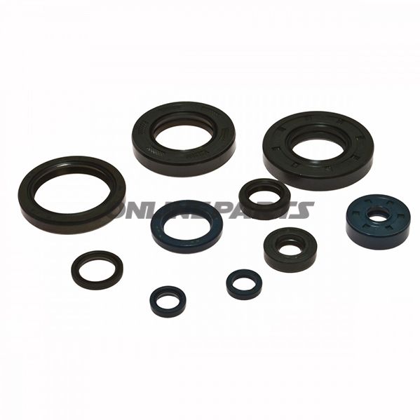 Engine Oil Seal Kit.