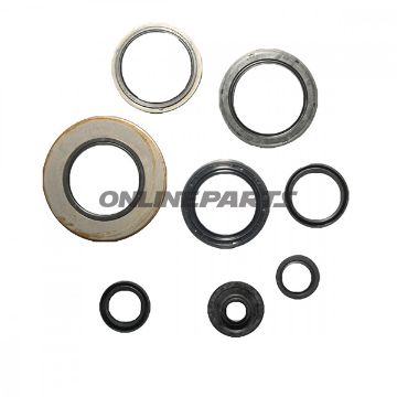 Engine Oil Seal Kit.