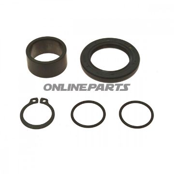 Counter Shaft Seal Kitall Balls Racing