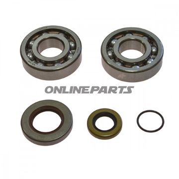 Crankshaft Bearing Kit All Balls Racingmit Simmerringen