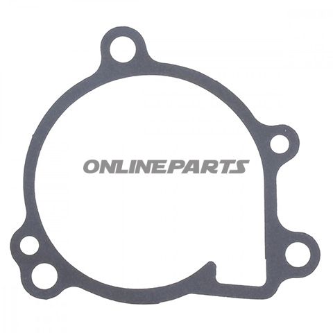 Water Pump Seal