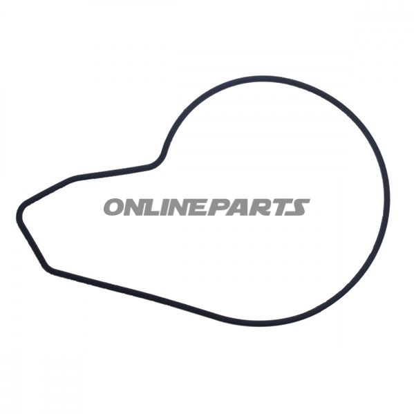 Water Pump Seal