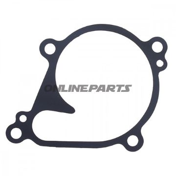 Water Pump Seal