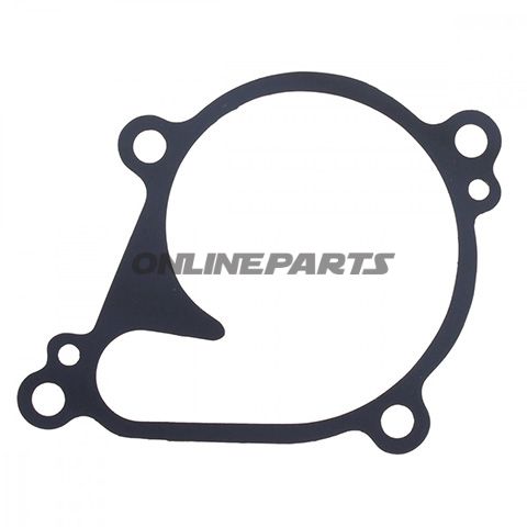 Water Pump Seal