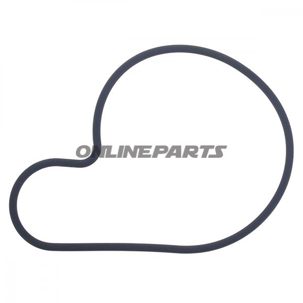 Water Pump Seal