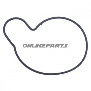 Water Pump Seal