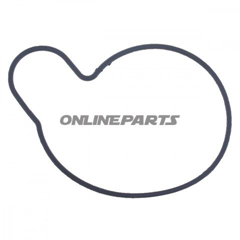 Water Pump Seal