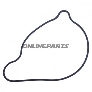 Water Pump Seal