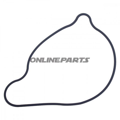 Water Pump Seal
