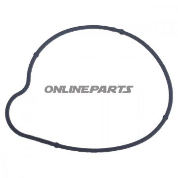 Water Pump Seal