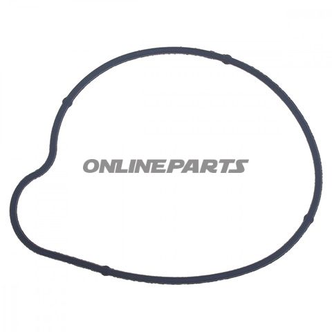 Water Pump Seal