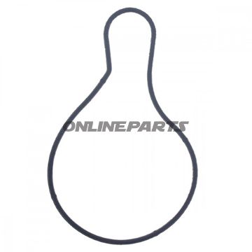 Water Pump Seal