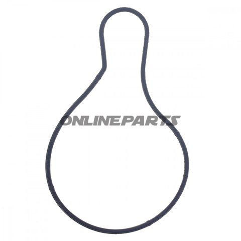 Water Pump Seal