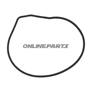 Water Pump Seal