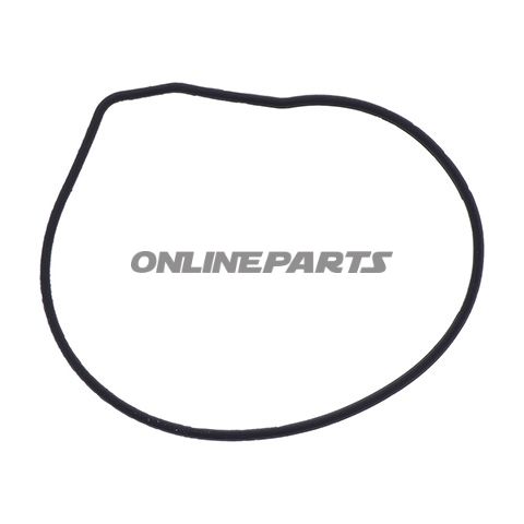 Water Pump Seal