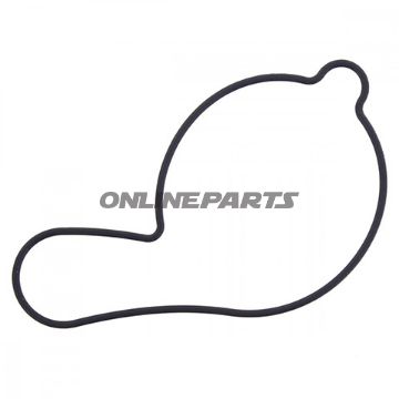 Water Pump Seal