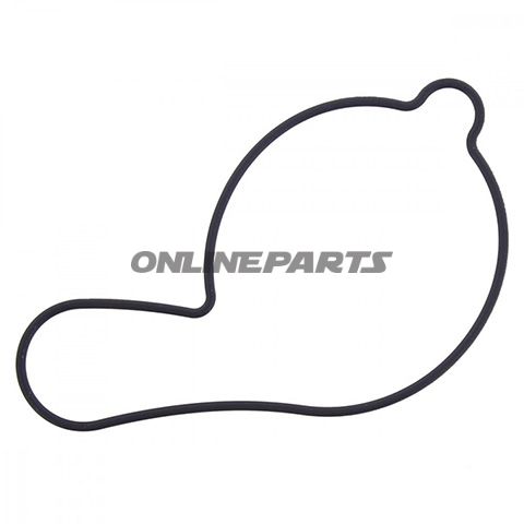 Water Pump Seal