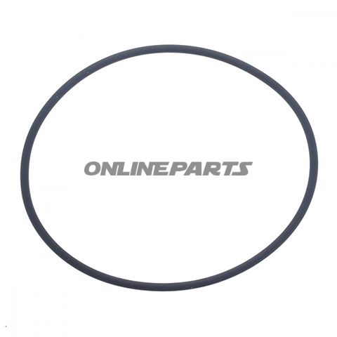 Water Pump Seal2.5X74 Mm