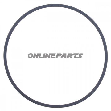 Water Pump Seal2x60 Mm