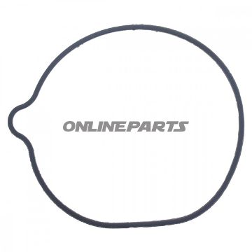 Water Pump Seal