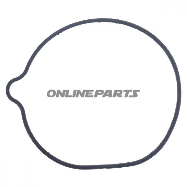 Water Pump Seal