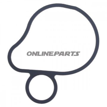 Water Pump Seal
