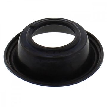 Diaphragm
