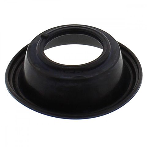 Diaphragm