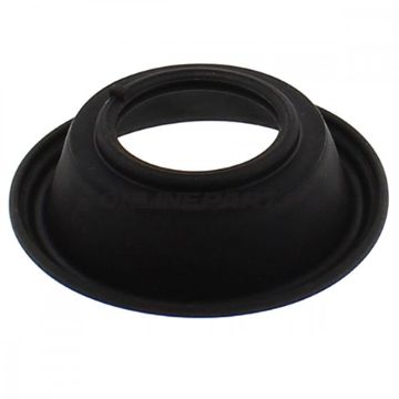 Diaphragm