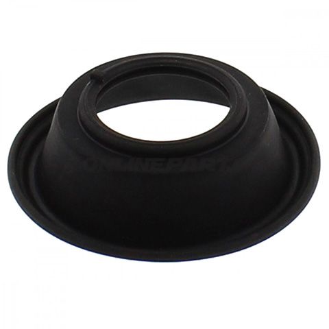 Diaphragm